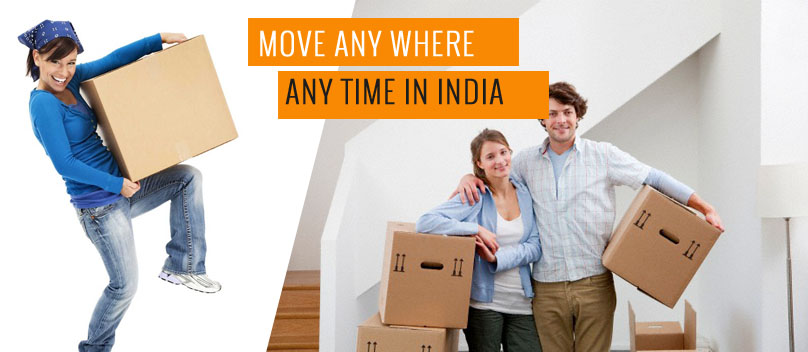 Packers Movers 1